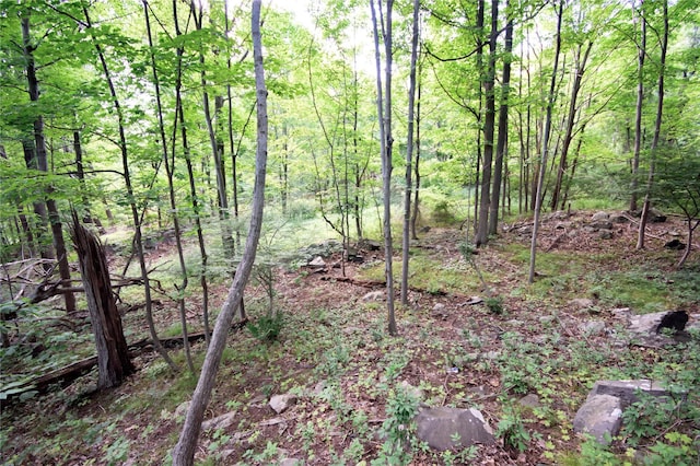 727 Farmers Mills Rd, Carmel, NY 10512 - photo 30