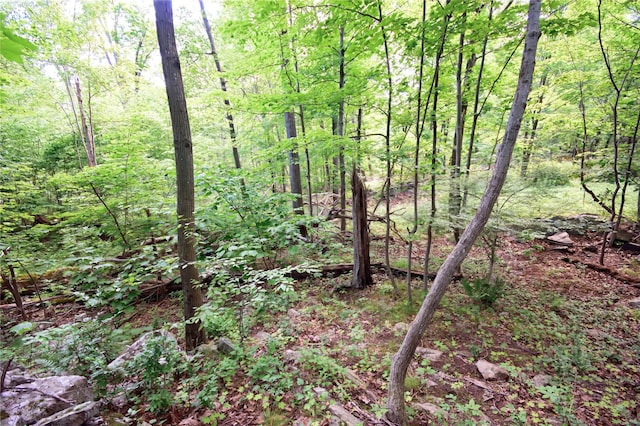 727 Farmers Mills Rd, Carmel, NY 10512 - photo 31