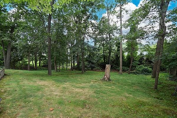 39 Harvard Dr, Woodbury, NY 11797 - photo 42