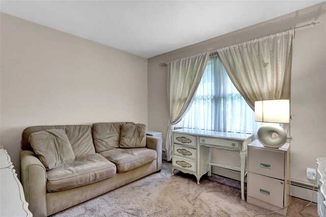 4 Tulip Grove Dr, Lake Grove, NY 11755 - photo 17