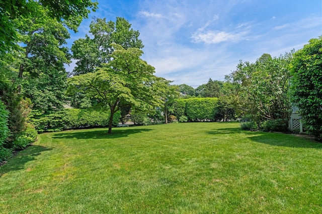 86 Lafayette Ave, Sea Cliff, NY 11579 - photo 44