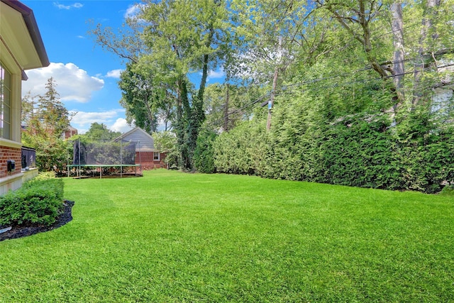 7 Beverly Rd, Great Neck, NY 11021 - photo 50