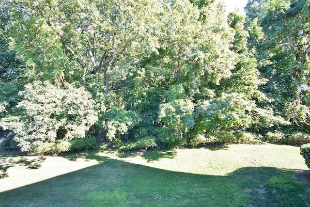 359 Country Club Ln, Pomona, NY 10970 - photo 11
