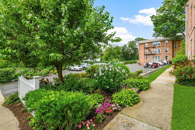 25 Trinity Pl Unit 2E, New Rochelle, NY 10805 - photo 23