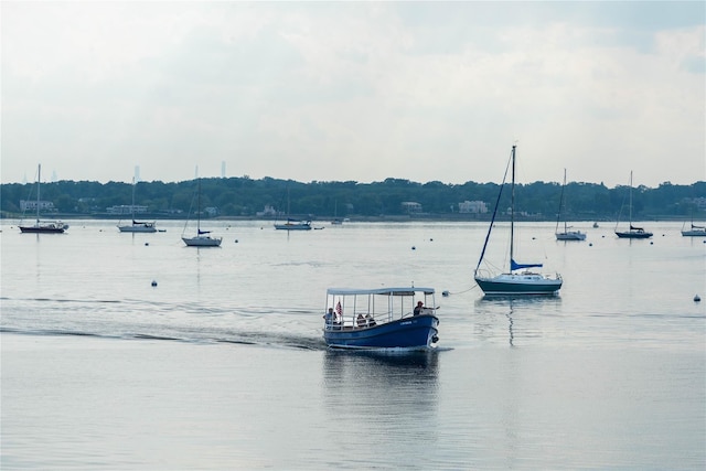 372 Main St Unit 302, Port Washington, NY 11050 - photo 29