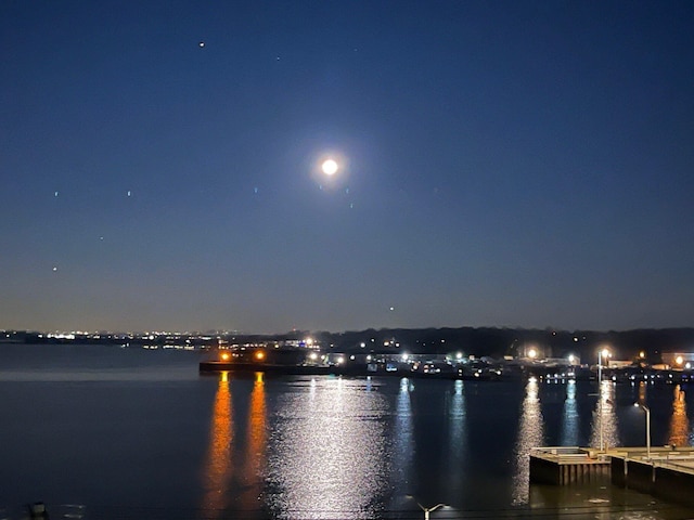 372 Main St Unit 302, Port Washington, NY 11050 - photo 35