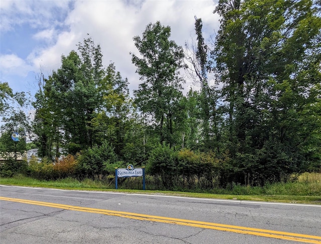 State Route 55, Kauneonga Lake, NY 12720 - photo 2