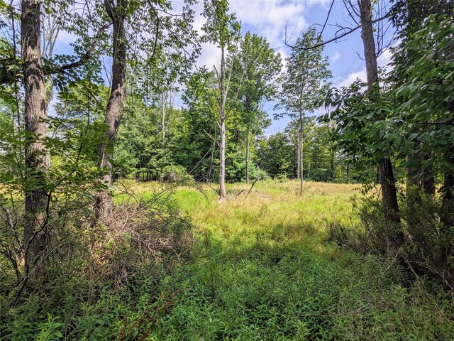 State Route 55, Kauneonga Lake, NY 12720 - photo 3