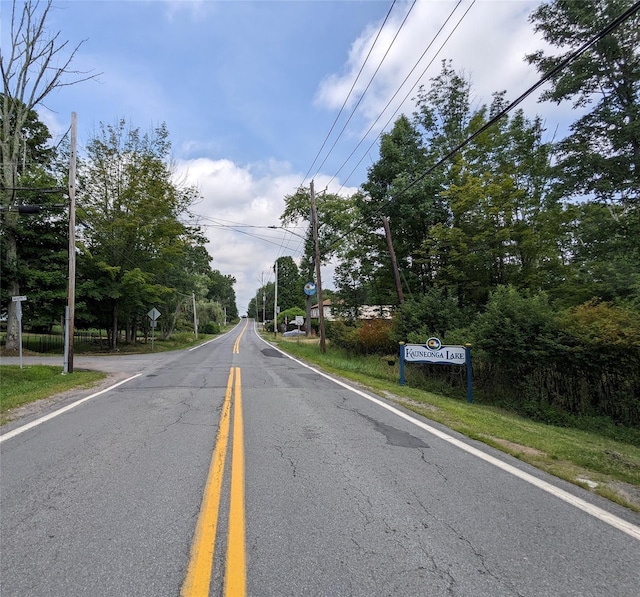 State Route 55, Kauneonga Lake, NY 12720 - photo 5