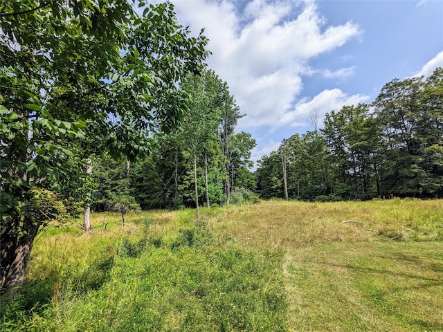 State Route 55, Kauneonga Lake, NY 12720 - photo 6
