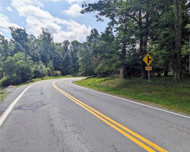 State Route 55, Kauneonga Lake, NY 12720 - photo 8