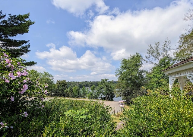 State Route 55, Kauneonga Lake, NY 12720 - photo 9