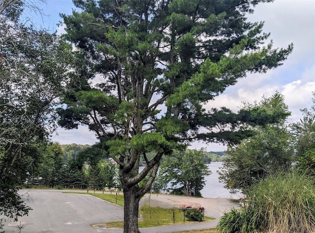 State Route 55, Kauneonga Lake, NY 12720 - photo 10