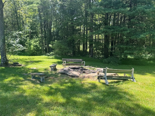 66-84 Katzman Rd, Ellenville, NY 12428 - photo 5