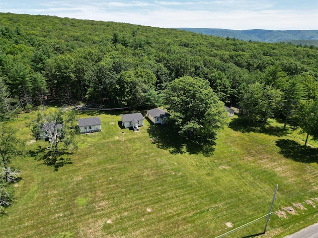 66-84 Katzman Rd, Ellenville, NY 12428 - photo 17