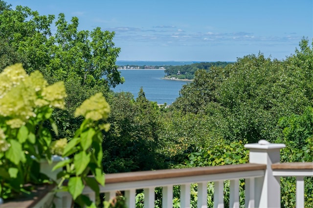 14 Thorman Ln, Huntington, NY 11743 - photo 2