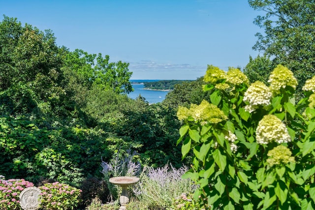 14 Thorman Ln, Huntington, NY 11743 - photo 3