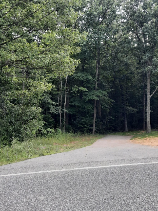 Kirbytown Rd, Middletown, NY 10940 - photo 3