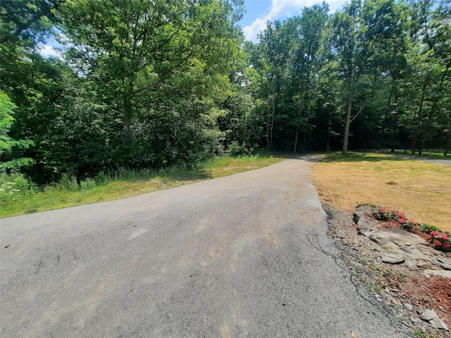 Kirbytown Rd, Middletown, NY 10940 - photo 5