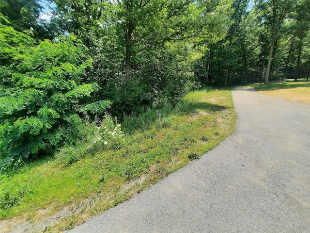 Kirbytown Rd, Middletown, NY 10940 - photo 6
