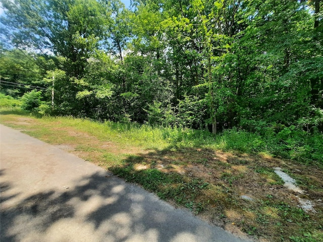 Kirbytown Rd, Middletown, NY 10940 - photo 7