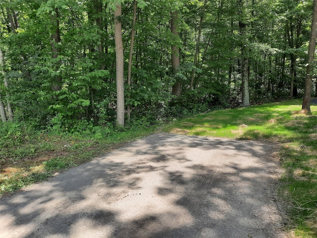 Kirbytown Rd, Middletown, NY 10940 - photo 8
