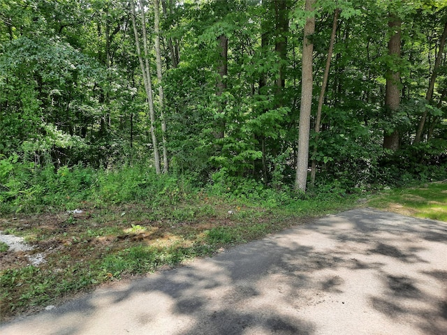 Kirbytown Rd, Middletown, NY 10940 - photo 9