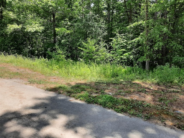 Kirbytown Rd, Middletown, NY 10940 - photo 10