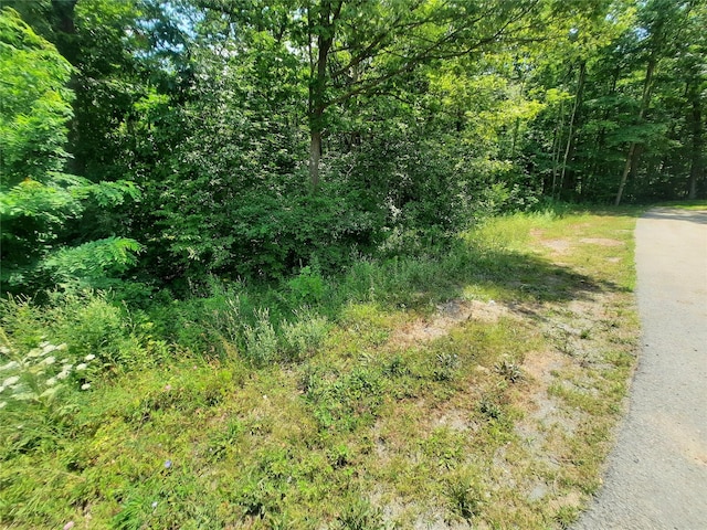 Kirbytown Rd, Middletown, NY 10940 - photo 11