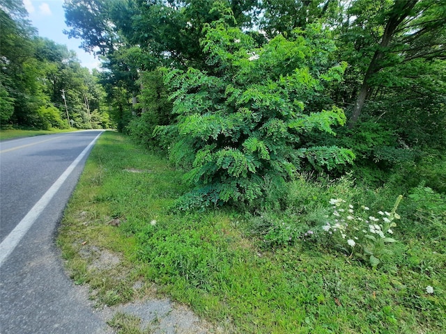 Kirbytown Rd, Middletown, NY 10940 - photo 12