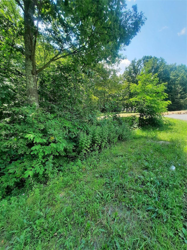 Kirbytown Rd, Middletown, NY 10940 - photo 15