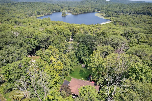 63 Fawn Hill Rd, Tuxedo Park, NY 10987 - photo 44