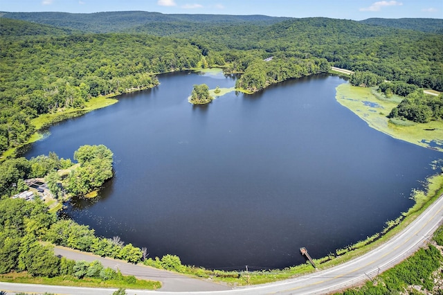 63 Fawn Hill Rd, Tuxedo Park, NY 10987 - photo 45