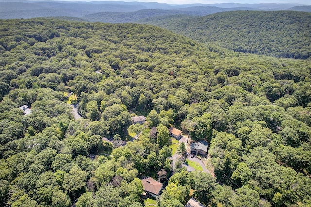 63 Fawn Hill Rd, Tuxedo Park, NY 10987 - photo 46
