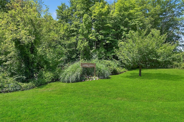 63 Fawn Hill Rd, Tuxedo Park, NY 10987 - photo 47