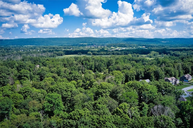 700-725 Beekman Rd Unit 706, Hopewell Junction, NY 12533 - photo 8