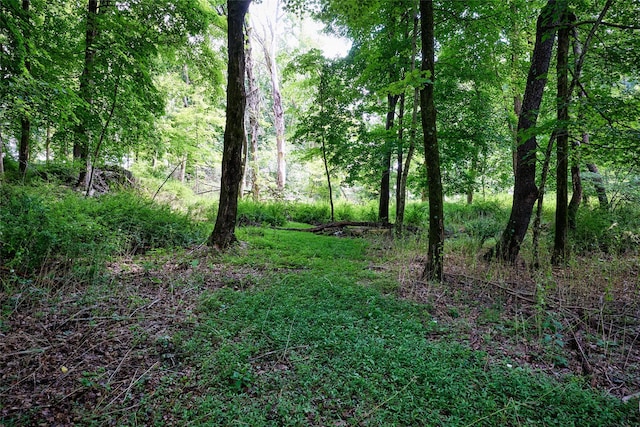 700-725 Beekman Rd Unit 706, Hopewell Junction, NY 12533 - photo 11