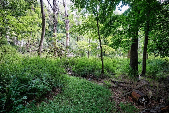 700-725 Beekman Rd Unit 706, Hopewell Junction, NY 12533 - photo 12