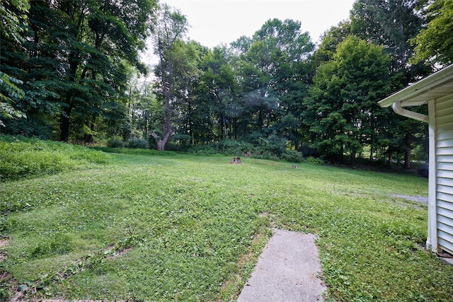 700-725 Beekman Rd Unit 706, Hopewell Junction, NY 12533 - photo 30
