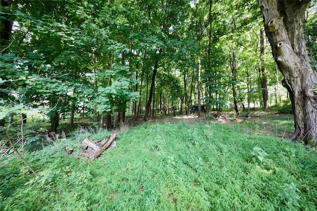 700-725 Beekman Rd Unit 706, Hopewell Junction, NY 12533 - photo 36