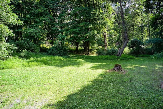 700-725 Beekman Rd Unit 706, Hopewell Junction, NY 12533 - photo 38