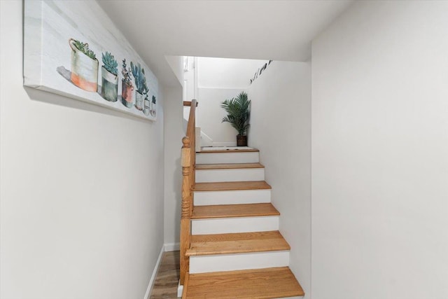 15 Sumner Ave, Yonkers, NY 10704 - photo 19