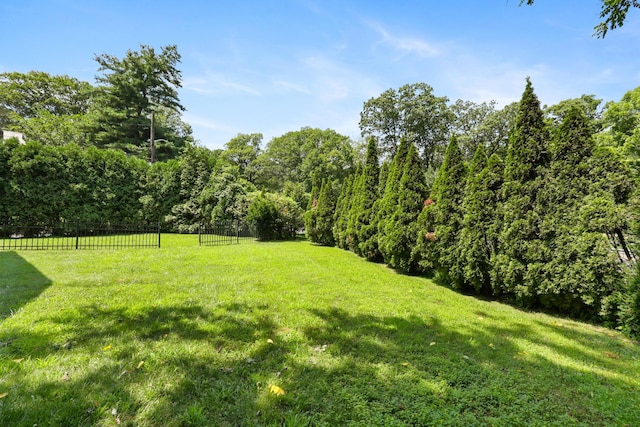 54 Claremont Rd, Scarsdale, NY 10583 - photo 21