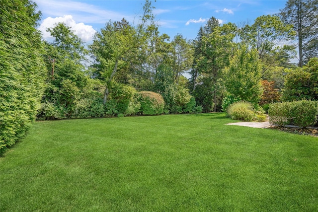 10 Flamingo Rd, East Hills, NY 11576 - photo 27