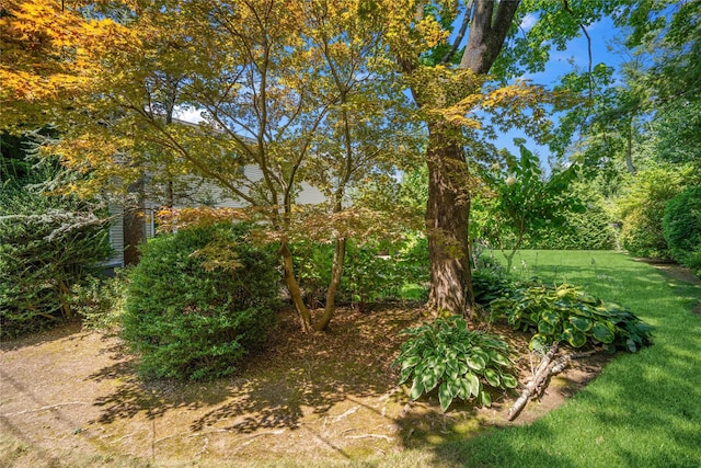 10 Flamingo Rd, East Hills, NY 11576 - photo 30