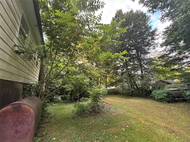 116 S St, Rosendale, NY 12472 - photo 5