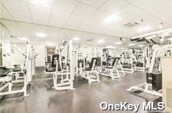 1236 Estates Ln Unit 49L, Bayside, NY 11360 - photo 11