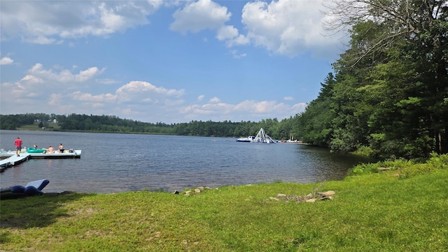 96 Ozierany, Glen Spey, NY 12737 - photo 1