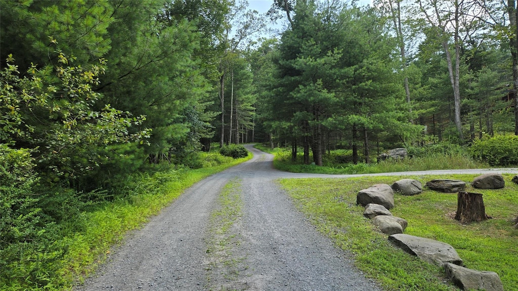 96 Ozierany, Glen Spey, NY 12737 - photo 2