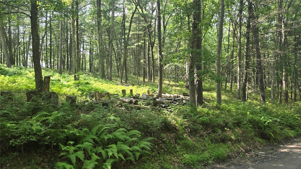 96 Ozierany, Glen Spey, NY 12737 - photo 3